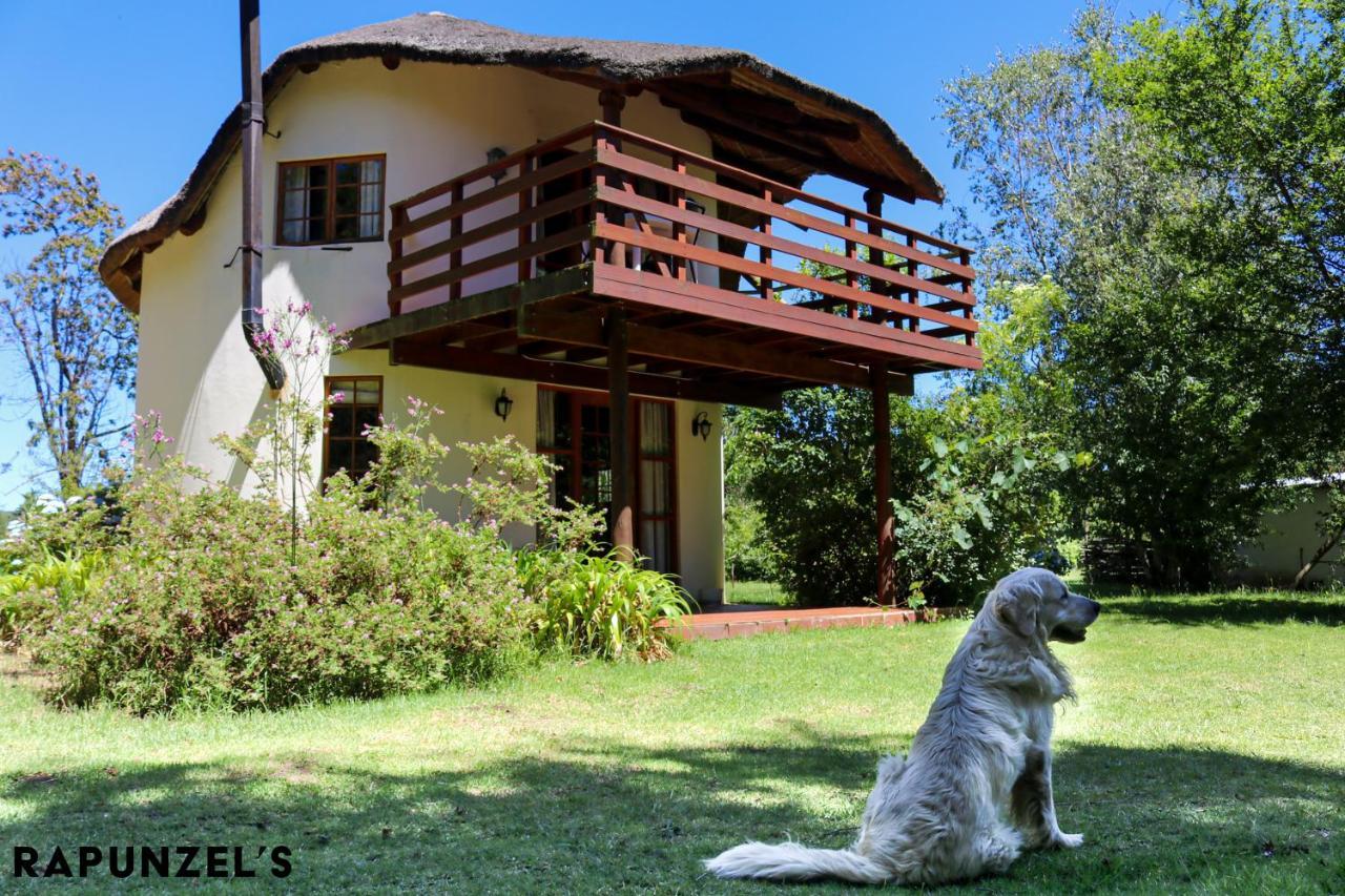 Jaya'S Place Hogsback Buitenkant foto